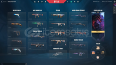 valorant + euw lol hesap