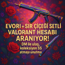 VALORANT EVORİ, SIR ÇİÇEĞİ SETLİ HESAP ARIYORUM