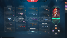 VALORANT EXO+GOLD+BATTLEPASS