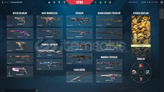 Valorant Full + Full Mainlik Hesap 
