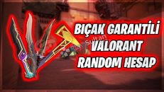 VALORANT / GARANTİ - 15 / 20 SKİN