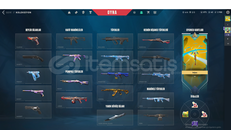 VALORANT CHAMPIONSLU GUZELLER GUZELI HESAP !