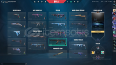 VALORANT HESAB HER SİLAHDA SKİN VAR