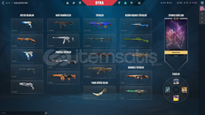 YARI FİYATINA VALORANT HESABI.