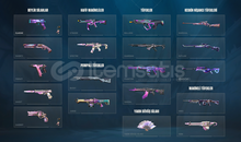 Valorant Hesap 217 skinli