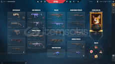 Valorant hesap açıklamayı okumadan geçme