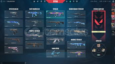 Valorant hesap(bıçak,vandal,phantum)