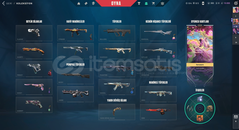 Valorant hesap kaliteli