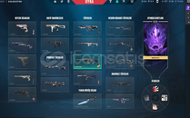 valorant hesap mailsiz op skinler var mailsiz