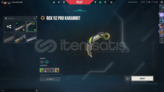 VALORANT HESAP SATILIK HESAP DEĞERİ 2620 TL