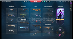 güzel bir mainlemelik hesap indirim yapılır 