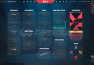 VALORANT JETT BICAKLI TR SUNUCULU FRESH HESAP