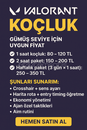 Valorant koçluk gelin