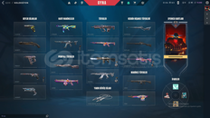 Valorant mail devirsiz skinli hesap