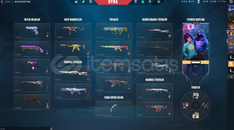 VALORANT MAIN HESAP SATILIKTIR 5 YILLIK HESAP