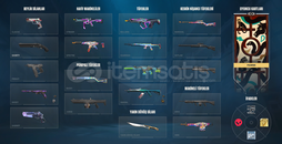 valorant mainlemelık güzel hesap