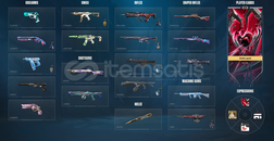 Valorant MAINLEMELIK hesap 20+skin