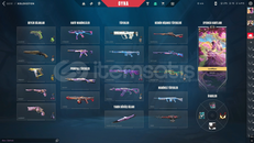 valorant mainlik güzel hesap / 12-13k basıldı