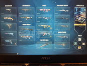 Valorant mainlik hesap 