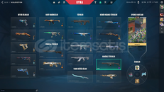 Valorant Mainlik hesap