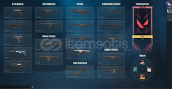 valorant mainlik hesap