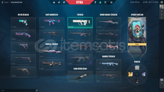 VALORANT NERDEYSE FULL DOLU HESAP 