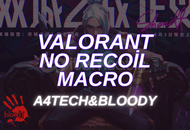 VALORANT NO RECOIL MACRO DOSYASI | BLOODY