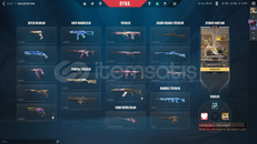 valorant oynamalık al gir oyna skinli