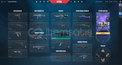 VALORANT PLAT ELO MAİNLİK BOL SKİNLİ HESAP