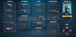 VALORANT PLAYSKİNLİ HESAP