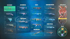 VALORANT PREMİUM HESAP COOK UCUZ CHAMPİONS SET