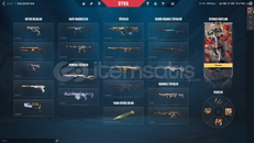 Valorant Radyant Geçmişli hesap dolu skin