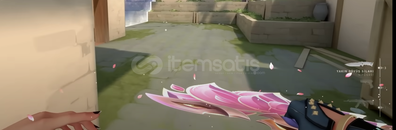 valorant sırçiçeği yelpaze