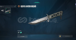 ⭐️ VALORANT SKINLI FRESH HESAP ⭐️