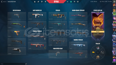 valorant skinli hesap