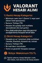 SKİNLİ SKİNSİZ HESAPLARINIZI ALIYORUM VALORANT