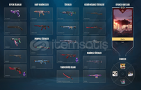 Valorant temiz exo setli hesap