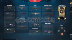 Valorant TR bol skinli hesap