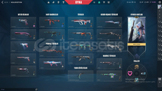 VALORANT TR DOPDOLU HESAP