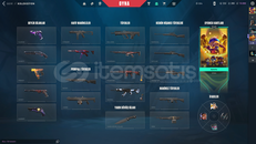 Valorant Tr Hesap / OnaTap Vandal Dolu Hesap