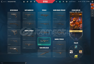 valorant tr sunuculu aemondır vandallı