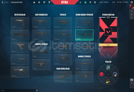 VALORANT TR SUNUCULU FRESH HESAP GMAİL DEGİSEN 