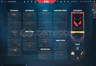 VALORANT TR SUNUCULU TAKIMIN ASI VANDALLI 