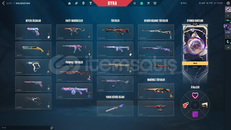 Valorant TR SUNUCULU HESAP