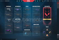 valorant tum sılahlarda skın vardır