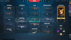 Valorant Uyguna Bol Skinli Hesap