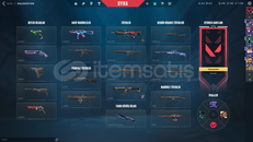 Valorant Uyguna Hesap Vandallı