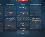 Valorant vandal hesap