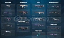 VALORANT VCT 2025 Lİ HESAP