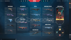 VALORANT VE LOL HESABI